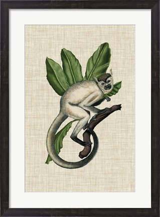 Framed Canopy Monkey IV Print