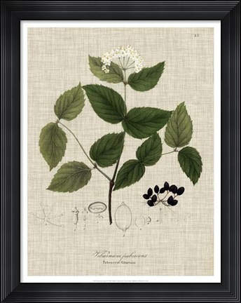 Framed Linen &amp; Leaves I Print