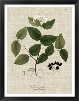 Framed Linen &amp; Leaves I Print