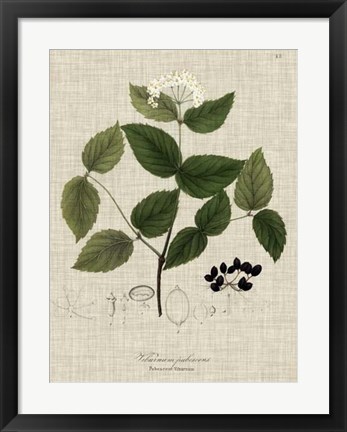 Framed Linen &amp; Leaves I Print