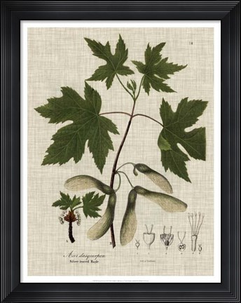 Framed Linen &amp; Leaves II Print