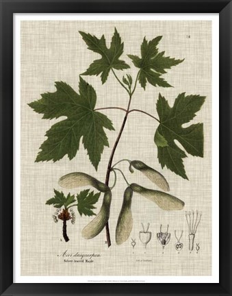 Framed Linen &amp; Leaves II Print