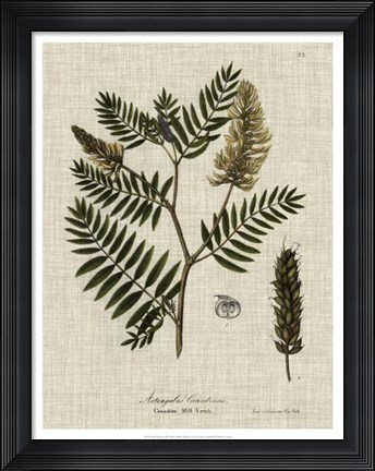 Framed Linen &amp; Leaves III Print