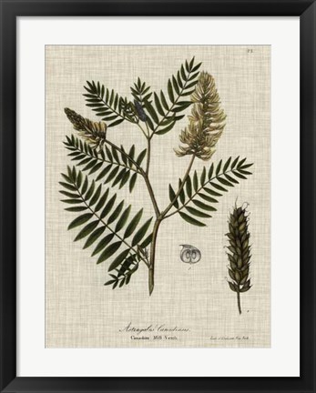 Framed Linen &amp; Leaves III Print