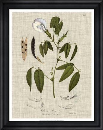 Framed Linen &amp; Leaves IV Print