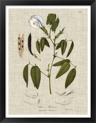 Framed Linen &amp; Leaves IV Print