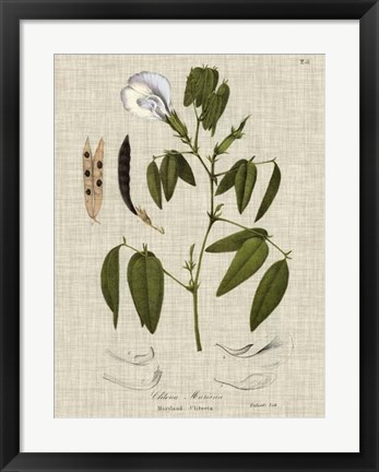 Framed Linen &amp; Leaves IV Print