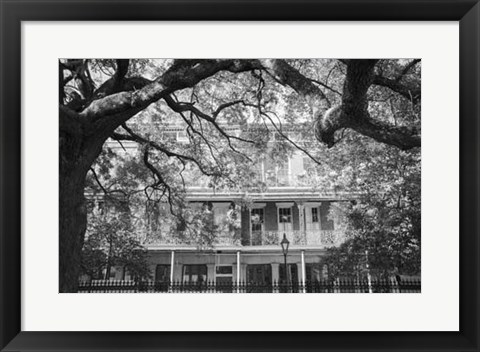 Framed Jackson Square, New Orleans Print
