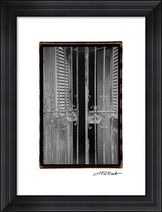 Framed Past Elegance III Print