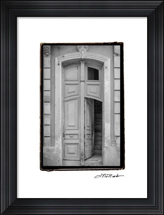 Framed Past Elegance IV Print
