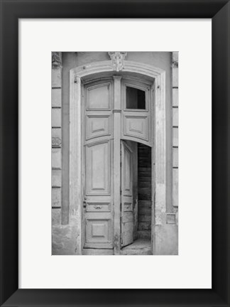Framed Past Elegance IV Print