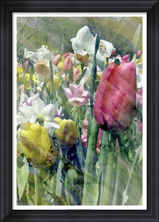 Framed Spring at Giverny III Print