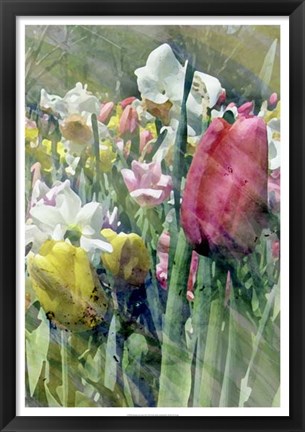 Framed Spring at Giverny III Print