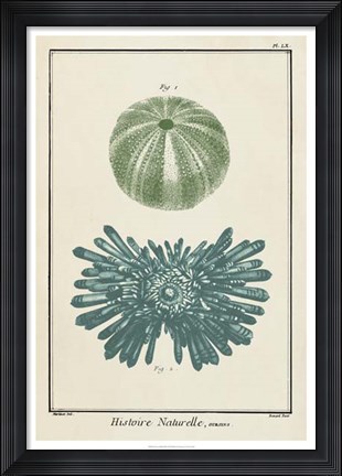 Framed Ocean Oddity III Print