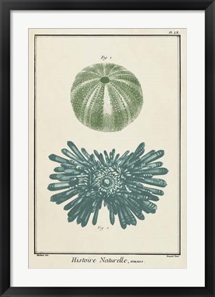 Framed Ocean Oddity III Print