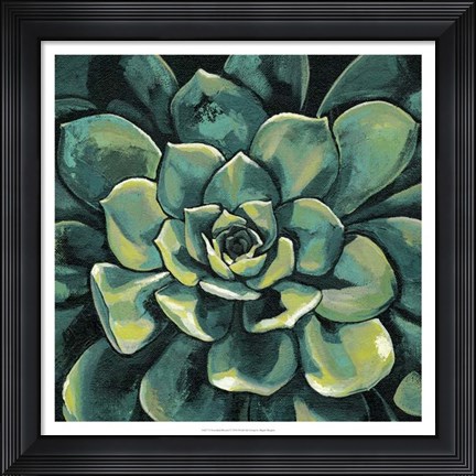 Framed Succulent Bloom I Print