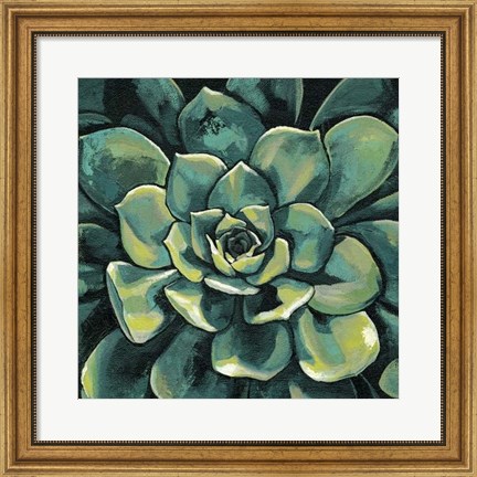Framed Succulent Bloom I Print