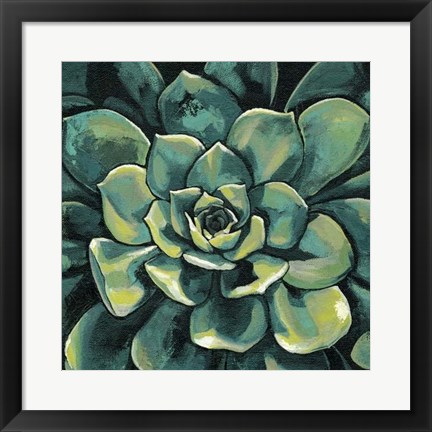 Framed Succulent Bloom I Print