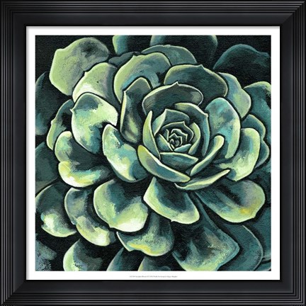 Framed Succulent Bloom II Print