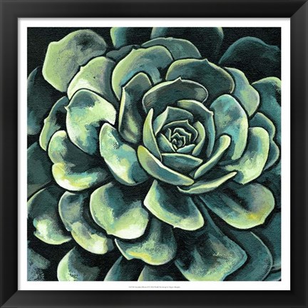 Framed Succulent Bloom II Print