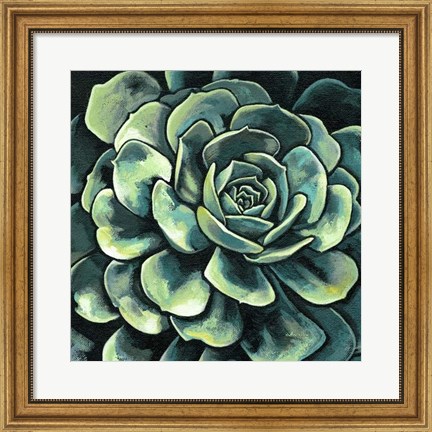 Framed Succulent Bloom II Print