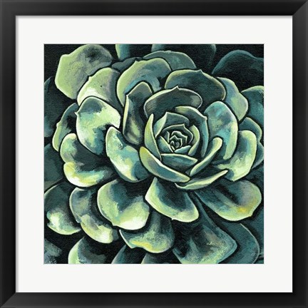 Framed Succulent Bloom II Print