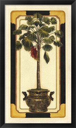Framed Peaceful Palm II Print