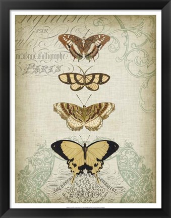 Framed Cartouche &amp; Butterflies II Print