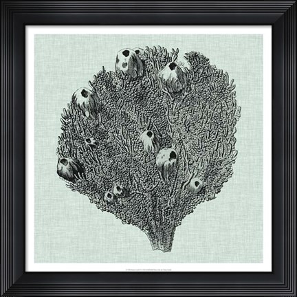 Framed Serene Coral IV Print