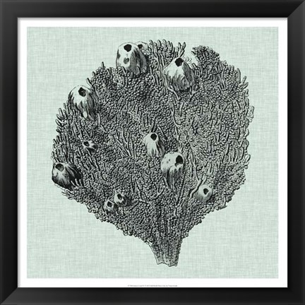 Framed Serene Coral IV Print