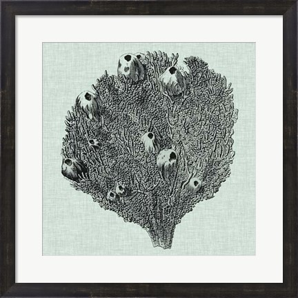 Framed Serene Coral IV Print