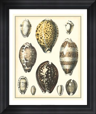 Framed Of Sea and Shore I Print
