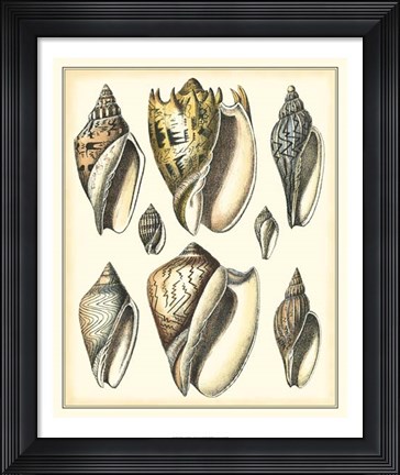 Framed Of Sea and Shore II Print