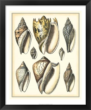 Framed Of Sea and Shore II Print
