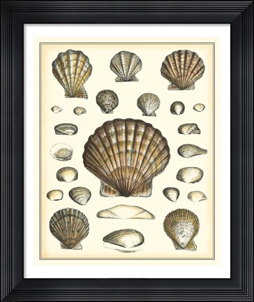 Framed Of Sea and Shore III Print