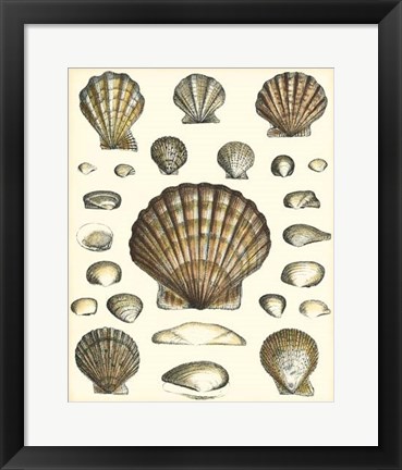 Framed Of Sea and Shore III Print