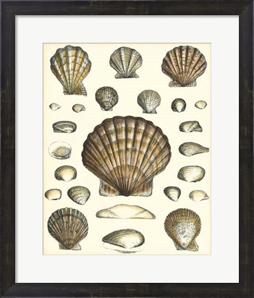 Framed Of Sea and Shore III Print