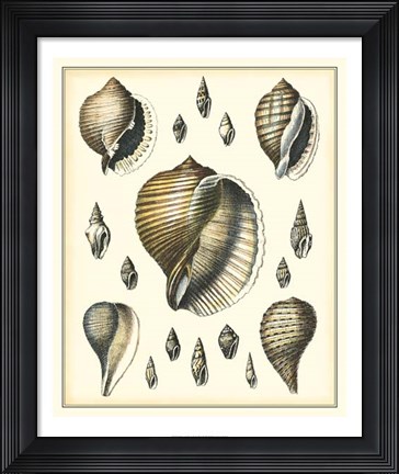 Framed Of Sea and Shore IV Print