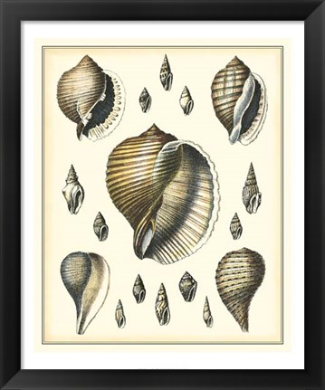 Framed Of Sea and Shore IV Print