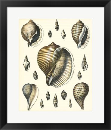 Framed Of Sea and Shore IV Print