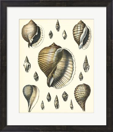 Framed Of Sea and Shore IV Print