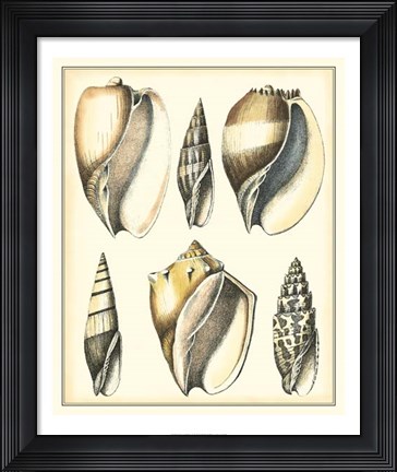 Framed Of Sea and Shore V Print
