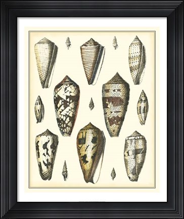 Framed Of Sea and Shore VI Print