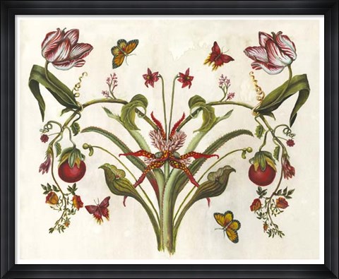 Framed Botanical Hybrid II Print