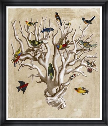 Framed Ornithologist&#39;s Dream I Print