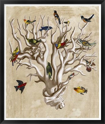 Framed Ornithologist&#39;s Dream I Print