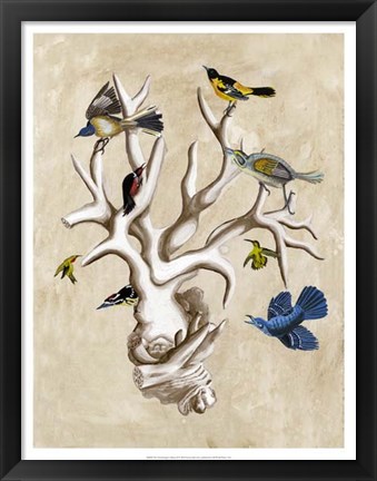 Framed Ornithologist&#39;s Dream II Print