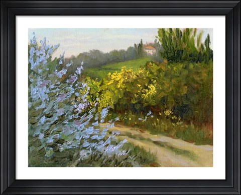 Framed Rosemary by the Road Print