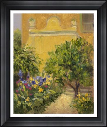 Framed Villas Garden Print