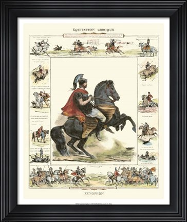 Framed Equestrian Display I Print